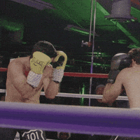 Zab Judah Boxing GIF