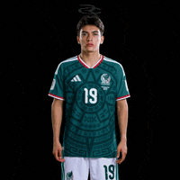 Fifa World Cup Mexico GIF by Respective