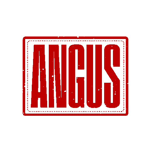 AssociacaoBrasileiradeAngus giphyupload boi carne angus Sticker