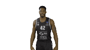 Partizan Sticker by sportmts