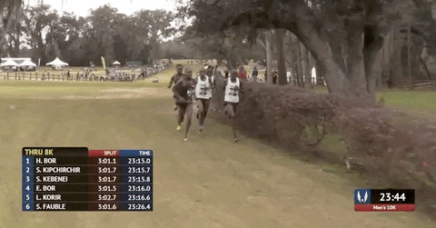 GIF by RunnerSpace.com