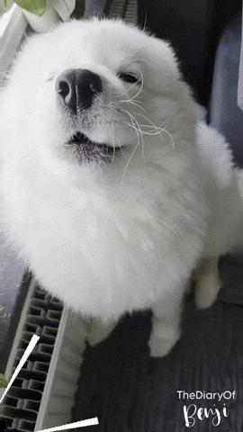 Friends Love GIF