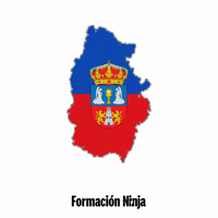 Flag Spain GIF by Formación Ninja