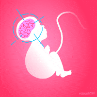 Animation Domination Baby GIF by gifnews