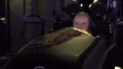 Formula 1 Beard GIF by Mercedes-AMG Petronas Motorsport