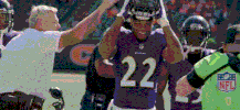Happy National Football League GIF by Baltimore Ravens