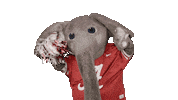 Crimson Tide Ua Sticker by The University of Alabama