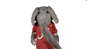 Crimson Tide Ua Sticker by The University of Alabama