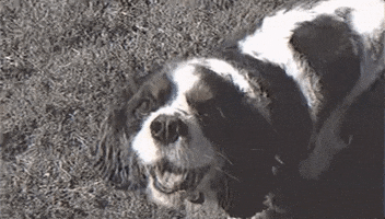 Happy Good Vibes GIF by Slow Dancer