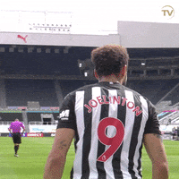 Newcastle United Goal GIF by Newcastle United Football Club