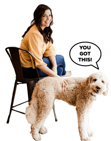 GIF by Team Porterfield