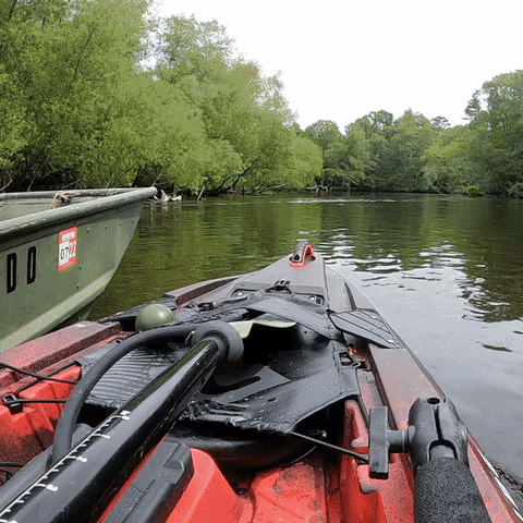 Rural_fisherman giphyupload GIF