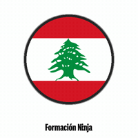 Lebanon Flag GIF by Formación Ninja