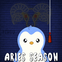 Zodiac Sign Penguin GIF by Pudgy Penguins