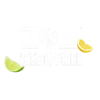 Energy Drink Lemon Sticker by ZOA Energy