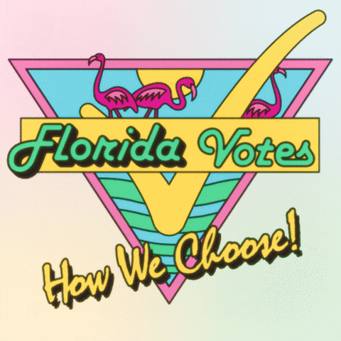 Voting Miami Beach GIF by Creative Courage