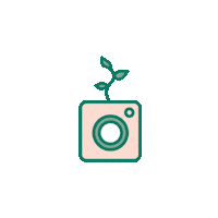 Social Media Instagram Sticker by The Social Impact