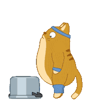 Cat Fitness Sticker by Share It Again