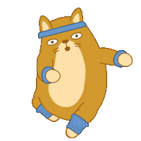 Cat Fitness Sticker by Share It Again