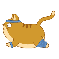 Cat Fitness Sticker by Share It Again