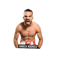 Mma Fighter Brave Cf Sticker by BRAVE Combat Federation