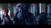 k-pop GIF