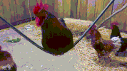 life swing GIF