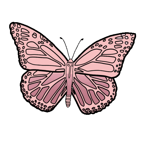 Pink Butterfly Sticker by iriskristen