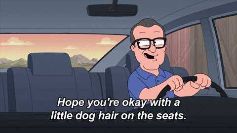 Dog GIF by Family Guy
