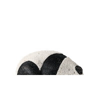 casouth panda sculpture herb crayons Sticker