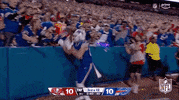 Happy National Football League GIF by NFL