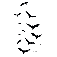 The Batman Vintage Sticker by Fossil