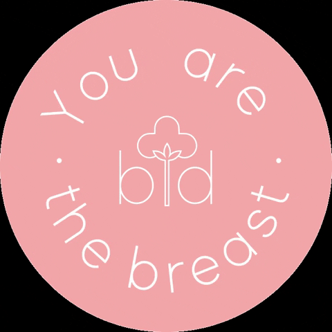 breast_dressed motivational maternity wear breast dressed you are the breast GIF