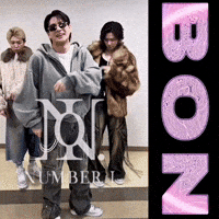 Bon Numberi GIF