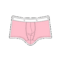 Underwear Sticker by Ven Label
