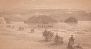 Abu Bakr Omar GIF