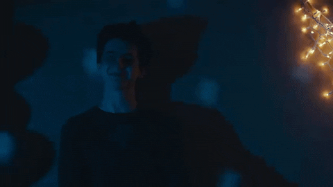 timothee chalamet GIF by Miss Stevens