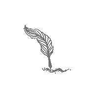 Feather Quill Sticker