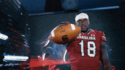 Go College Football GIF by gamecocksonline