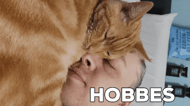 vladyslavt giphygifmaker giphygifmakermobile GIF