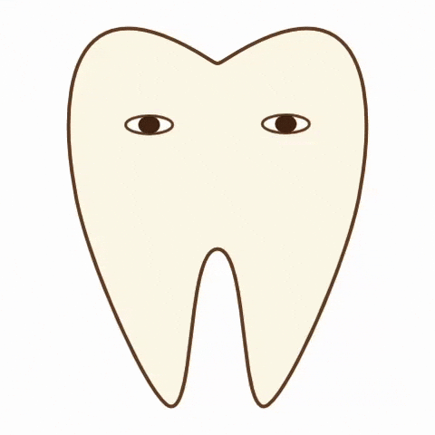 Tooth Bandage GIF by dental_sozai