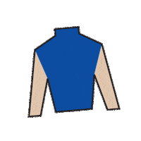 Horse Racing Sticker by Kentucky Derby