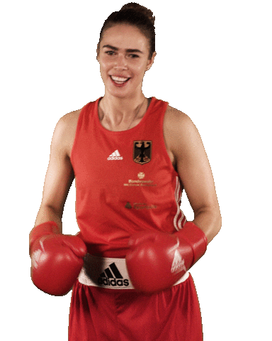 Fun Boxing Sticker by Ruhr Games