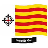 Comunidad Valenciana Bandera Sticker by Formación Ninja