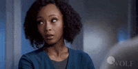 Dick Wolf Doctor GIF by Wolf Entertainment