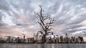 motion picture loop GIF by A. L. Crego