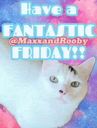 Have A White Cat GIF