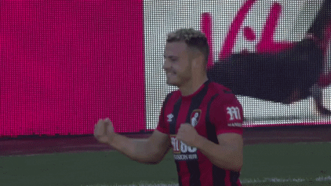 Football Soccer GIF by AFC Bournemouth