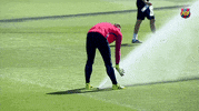 ter stegen water GIF by FC Barcelona