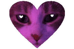 ivanast6 love cat heart cats Sticker